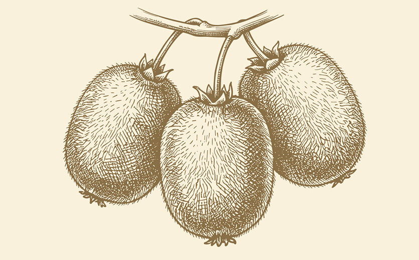 Artikelbild Kiwis neu inszenieren – so verkaufen sich gelbe, rote und Mini-Sorten