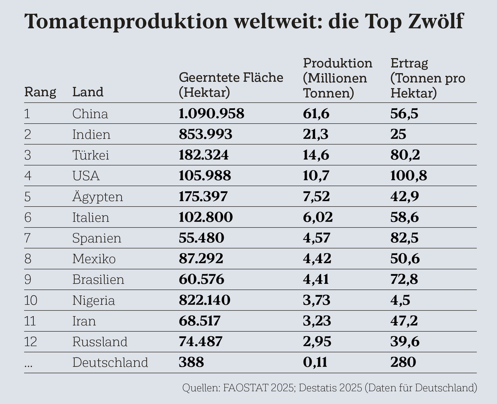Top Zwölf Länder für Tomatenproduktion