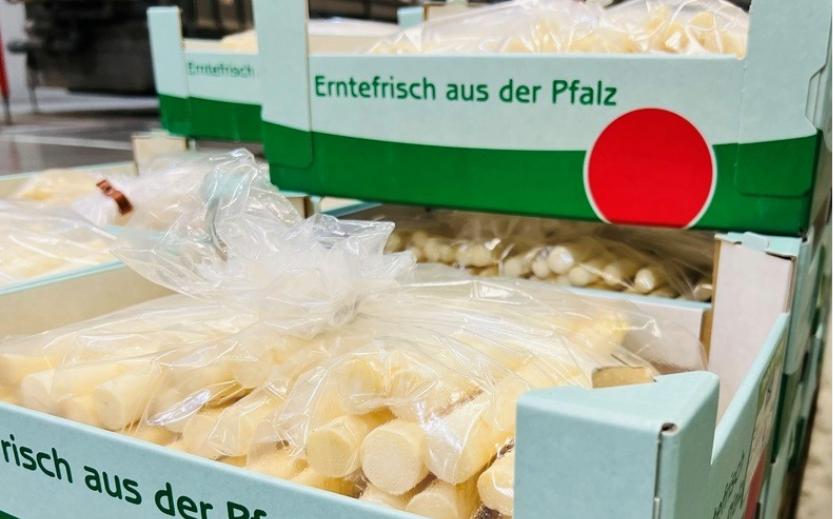 Artikelbild zu Artikel Pfalzmarkt verkauft mehr Spargel – doch die Kosten steigen schneller
