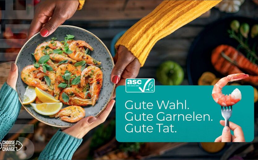 Garnelen-Kampagne: Screenshot.