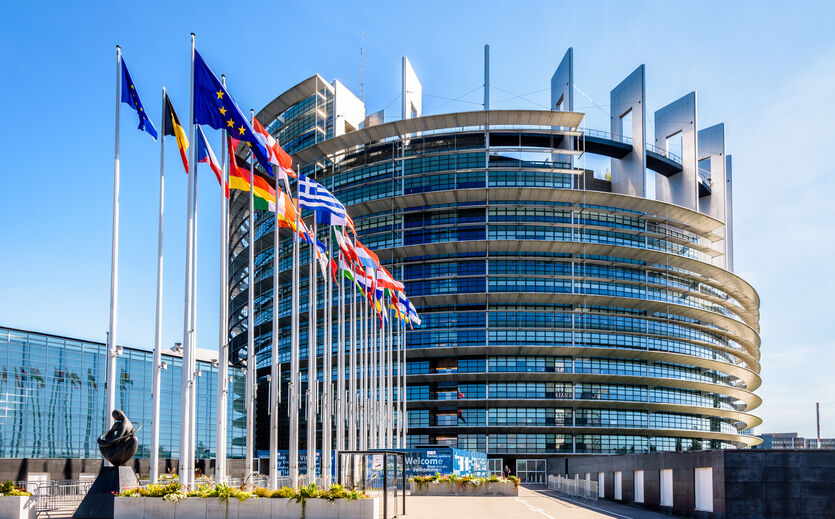 Artikelbild zu Artikel EU-Parlament will kleine Händler von Verpackungspflichten befreien