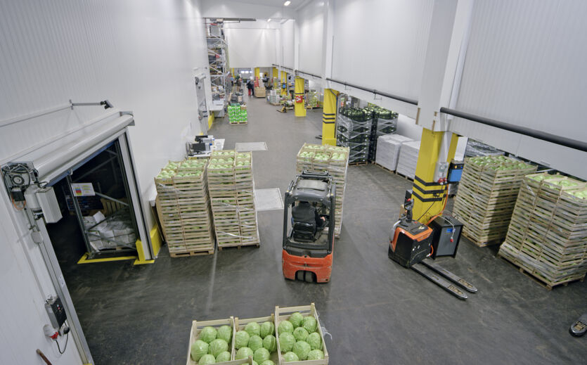 Artikelbild zu Artikel Lidl eröffnet Kühlgutlager in Oberfranken