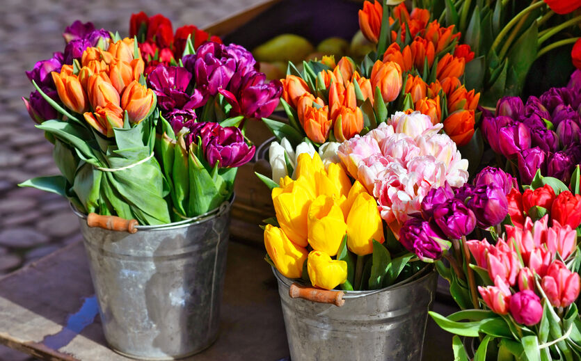 Menschen in Deutschland sparen an Schnittblumen