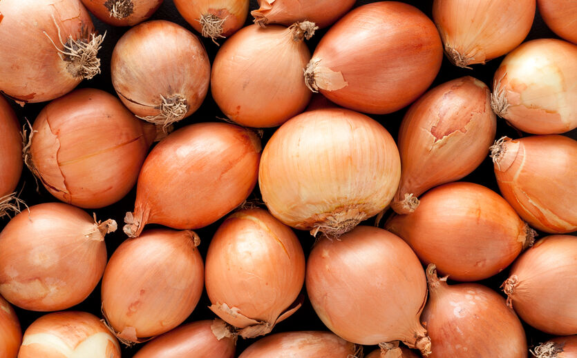 Artikelbild zu Artikel Speisezwiebeln verdrängen Möhren von der Spitze