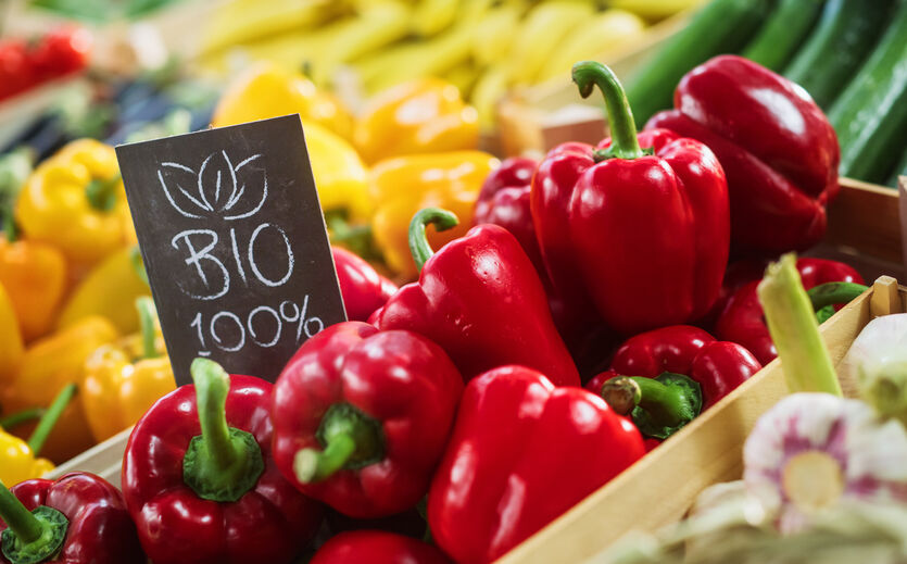 Artikelbild Naturkost Erfurt beantragt Sanierungsverfahren