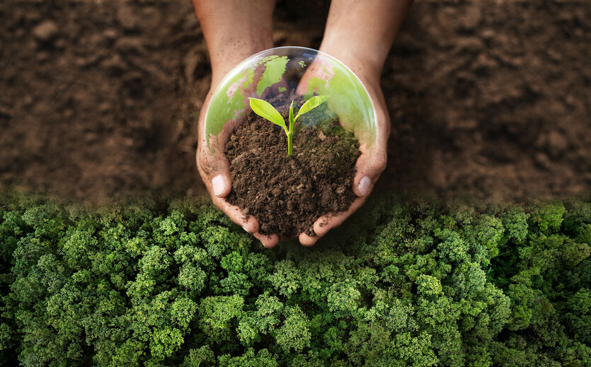 Lidl führt Nachhaltigkeitsvergleich europäischer Lebensmittelhändler an