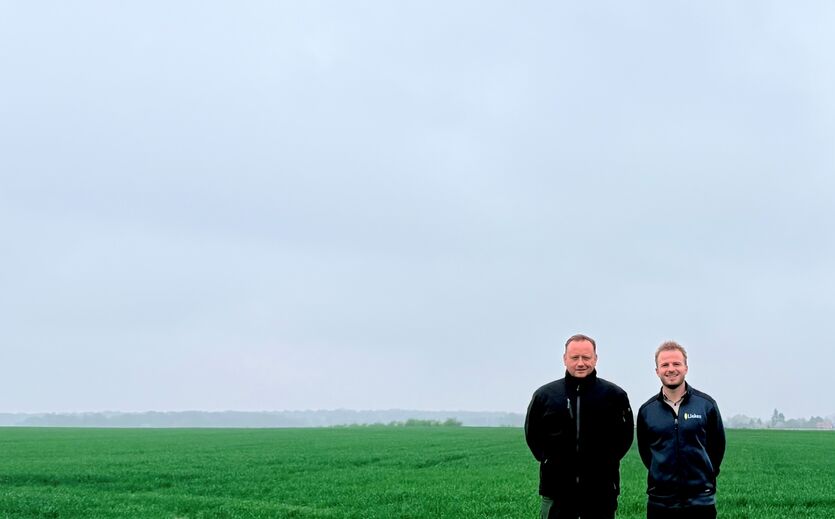 Artikelbild Lieken baut Weizen mit reduziertem CO₂-Fußabdruck an