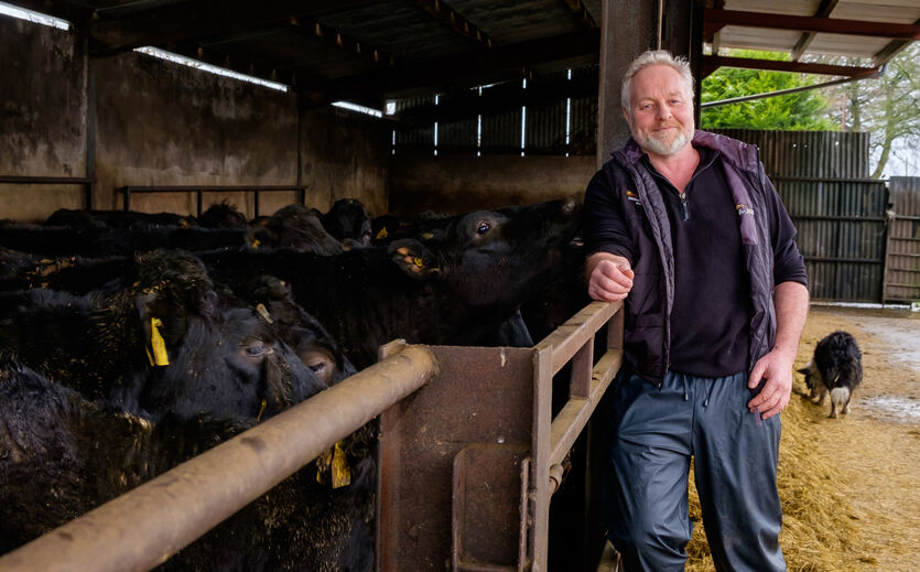 Marks & Spencer investiert in Lamm- und Rindfleisch