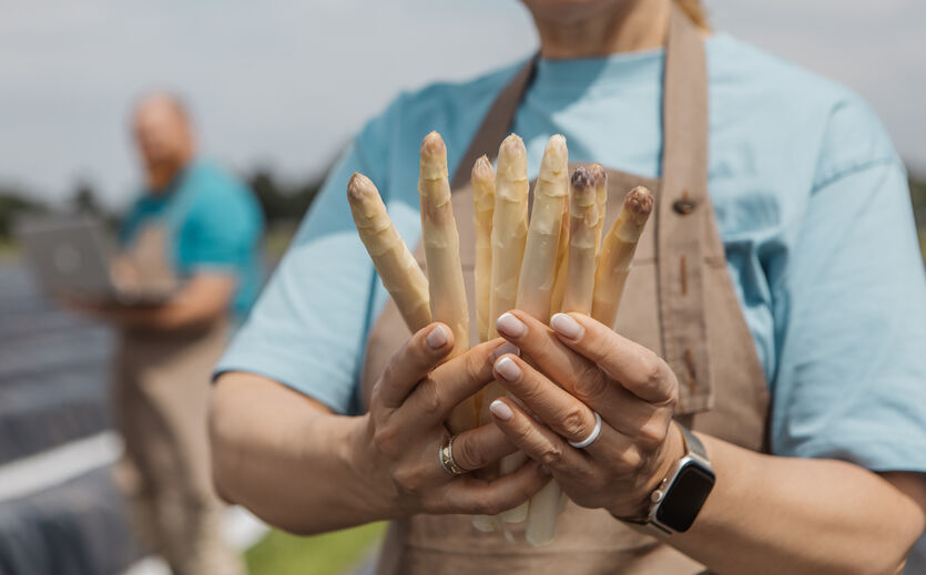 Vorwürfe wegen Saisonarbeit: Person im  Arbeitskittel präsentiert Spargelstangen.