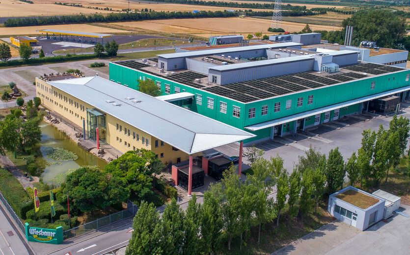 Wiesbauer mit solider Geschäftsentwicklung