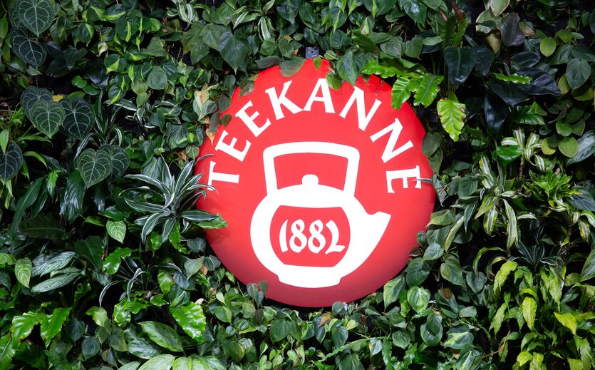 Teekanne wächst im In- und Ausland