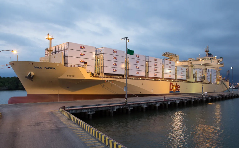 Containerschiff von Dole liegt mit gestapelten Kühlcontainern an einem Hafen