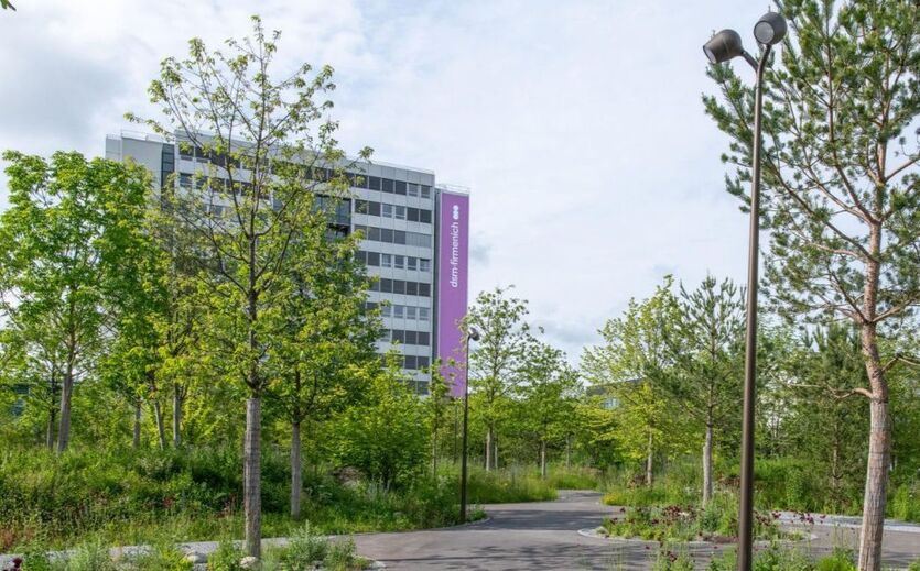 DSM Firmenich stößt Geschäftsbereich ab