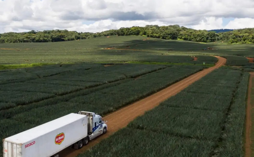 Fresh Del Monte baut Portfolio nach Übernahme um
