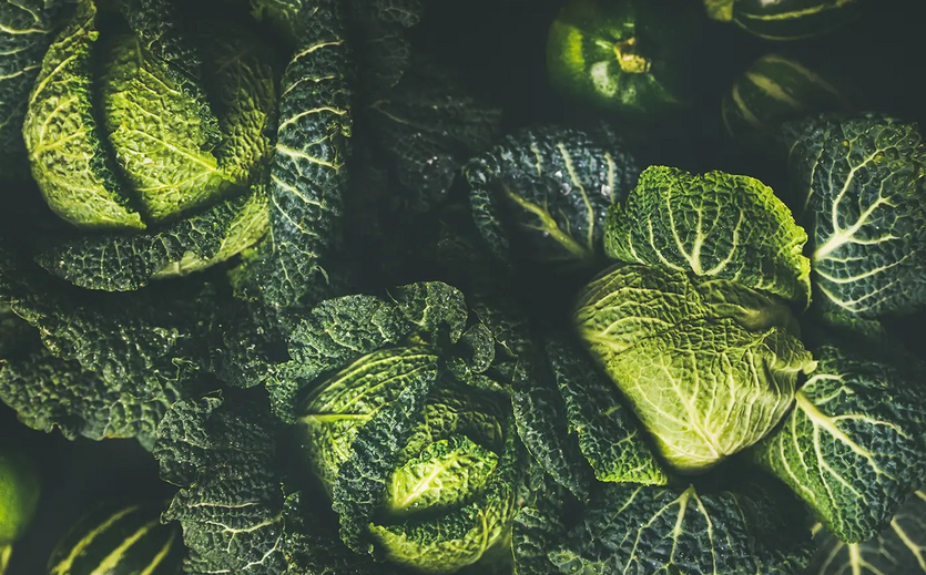 Buyers Edge Platform kauft United Fresh Consortium