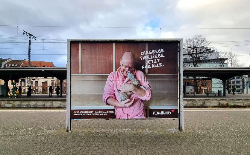 Artikelbild zu Artikel Veganuary 2026 bricht Rekorde 