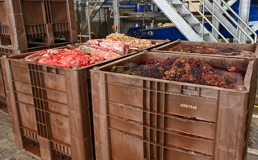 Mehr Volumen für Bioabfälle