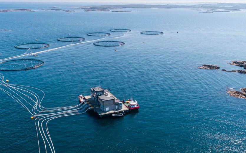 Luftaufnahme einer norwegischen Lachszuchtanlage im Meer.