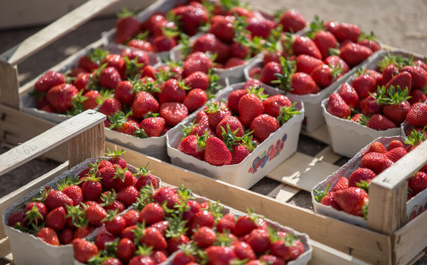 Aldi Süd setzt auf deutsche Erdbeeren
