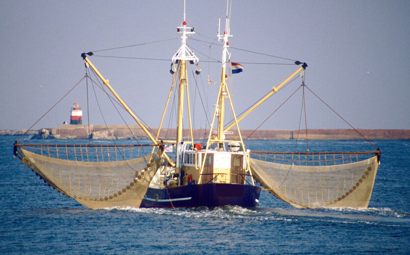 Artikelbild zu Artikel Höhere Hilfsmittel für Fischereibetriebe