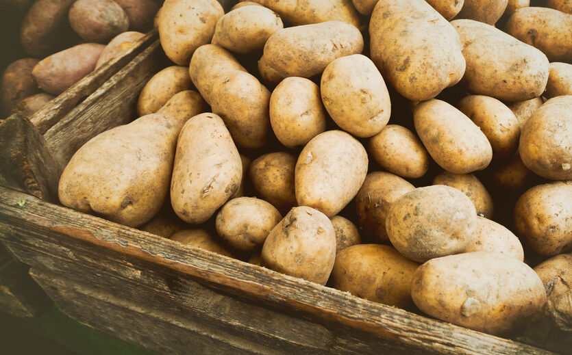 Artikelbild zu Artikel Kartoffelverbrauch steigt in Corona-Krise