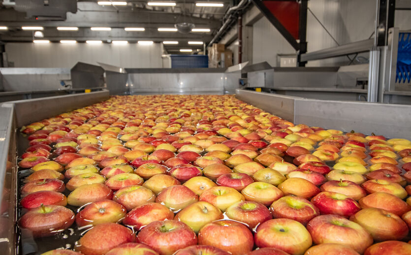 Artikelbild zu Artikel Landgard nimmt Wasserentleerungs-Anlage für Kernobst in Betrieb