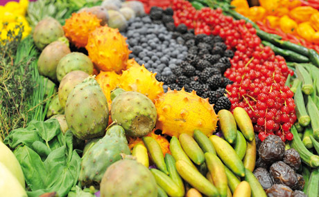 Fruit Logistica:Treffpunkt für die Fruchtbranche