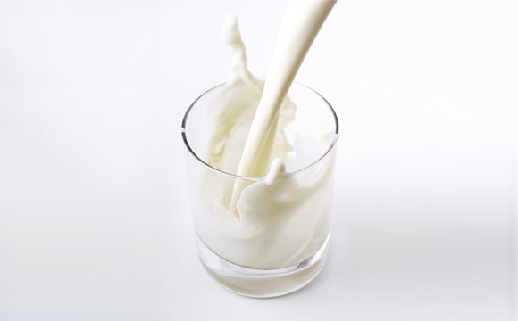 Artikelbild zu Artikel Fokus auf Bio-Milch