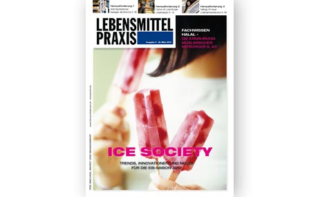 Artikelbild Ice Society