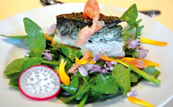 Appetitlich Kohldisteltarte mit Streifen von der Lachsforelle an Brunnenkresse