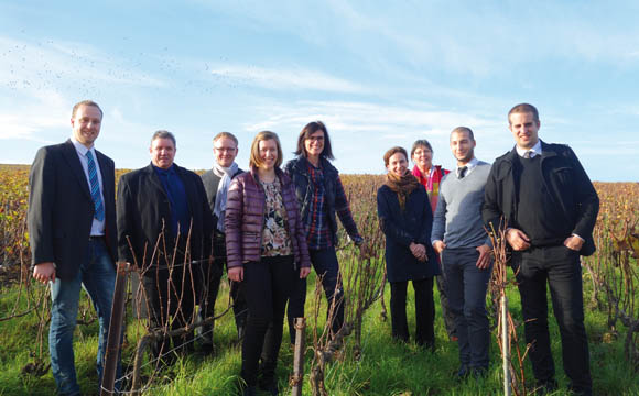 In den den Weinbergen