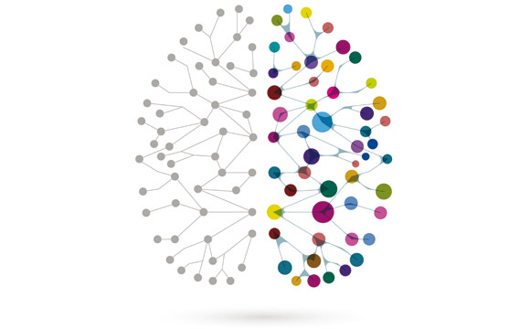 Kaufen ist Kopfsache: Vielfältige Impulse wirken beim Einkauf auf das Gehirn des Kunden.