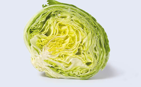 Patentiert: Salat, der eine geringere Verfärbung der
Schnittfläche zeigt und somit länger frisch wirkt.