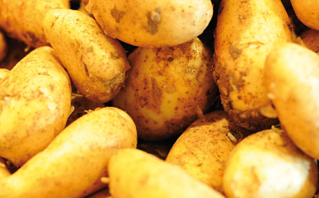 Convenience bietet neue Wachstumschancen  (Bildquelle: Mugrauer)