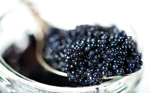 Artikelbild Kaviar