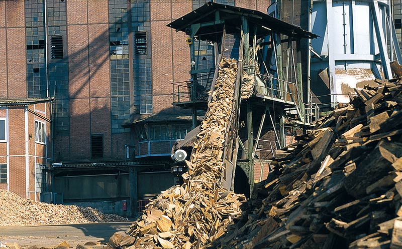 In Deutschland werden 250.000 Tonnen Holzkohle verbraucht. Davon stammen rund 12 Prozent aus Deutschland.