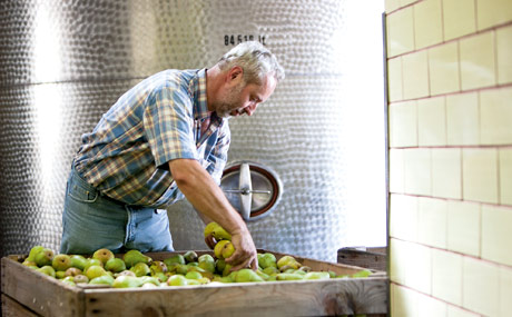 Spirituosen aus Obst haben eine lange Tradition in Deutschland und stellen für Obstbauern eine wichtige Einnahmequelle dar.