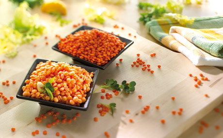 Hülsenfrüchte zählen seit jeher zu den Grundnahrungsmitteln.