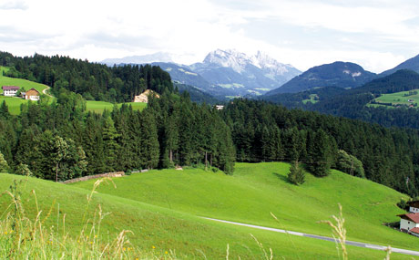 Der wichtigste Handelspartner des österreichischen Lebensmittelsektors ist Deutschland.