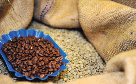 Kaffee-Aroma: so komplex, dass man es nicht künstlich erzeugen kann.
