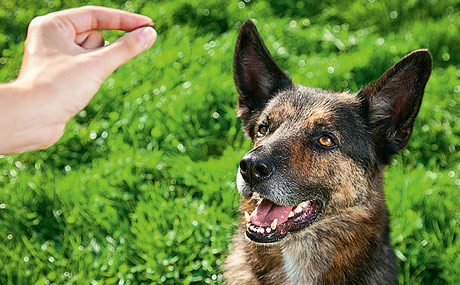 „Snacks bieten große Chancen für Impulskäufe.“ (Bildquelle: iStockphoto)