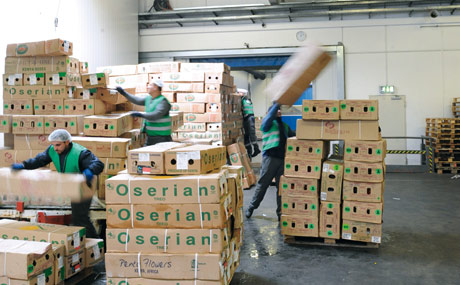 Warenbewegung: Durchschnittlich werden im Perishable-Center pro Tag 250 t Frischware umgeschlagen.