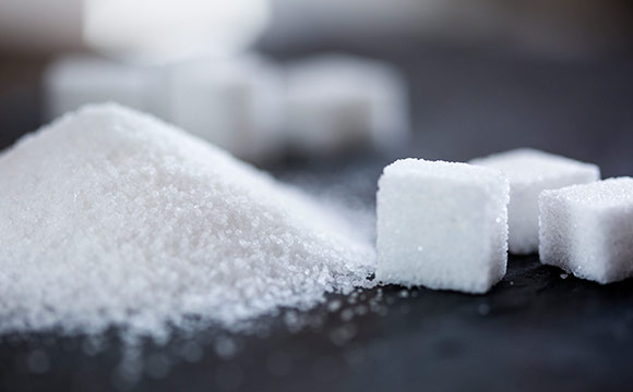 Artikelbild Fördert neue Zucker