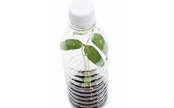 Pepsi-Co macht bei Bioplastik-Start-up mit