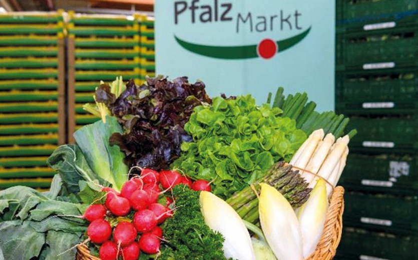 Artikelbild zu Artikel Pfalzmarkt startet Frischgemüse-Saison