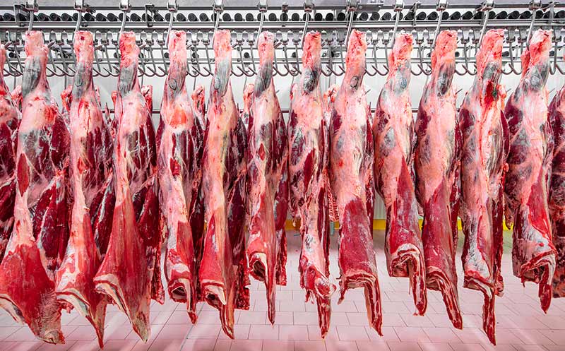 Artikelbild Zustimmung für höhere Preise für Fleisch